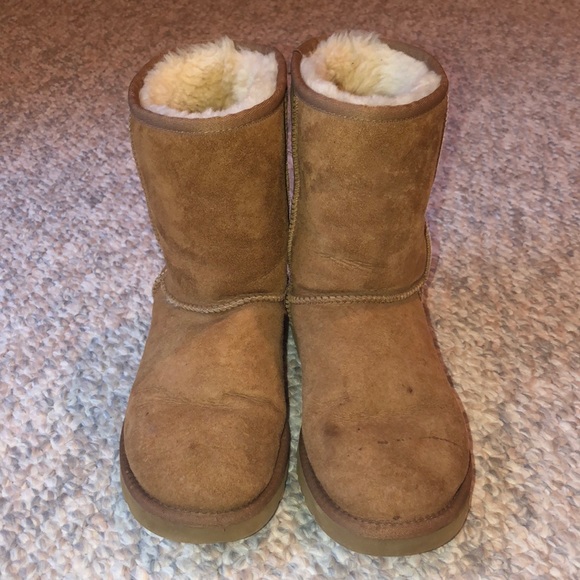UGG Shoes - Classic Short Uggs